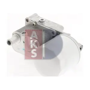 096019N AKS DASIS