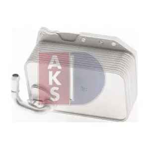 046055N AKS DASIS