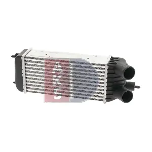 067002N AKS DASIS