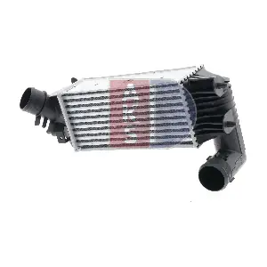 067080N AKS DASIS
