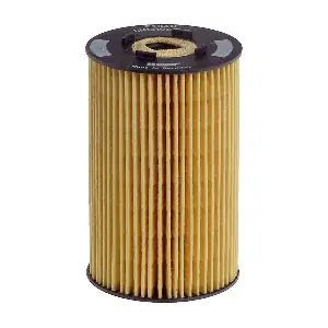 HENGST FILTER E134H D06
