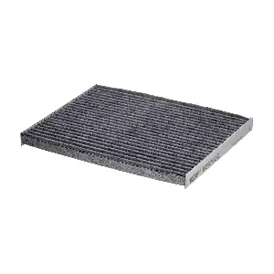 HENGST FILTER E2976LC