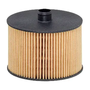 HENGST FILTER E79KPD118