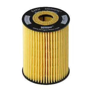 HENGST FILTER E69HD81