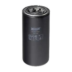 HENGST FILTER H300W04