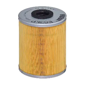 HENGST FILTER E63KP D78