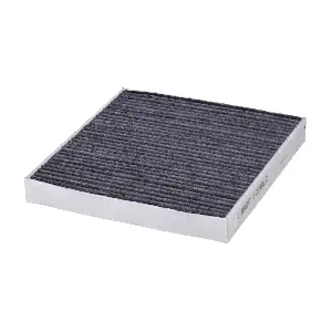 HENGST FILTER E2998LC
