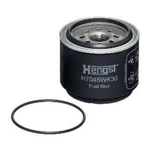 HENGST FILTER H7045WK30