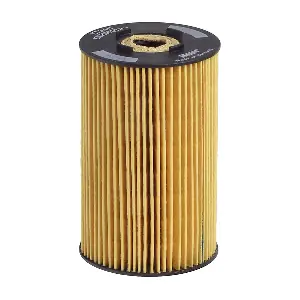 E134H D31 HENGST FILTER