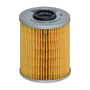 E110HD24 HENGST FILTER