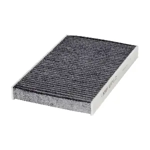 HENGST FILTER E2979LC