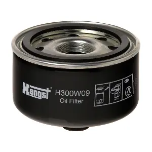 HENGST FILTER H300W09