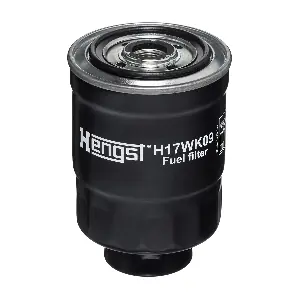 HENGST FILTER H17WK09