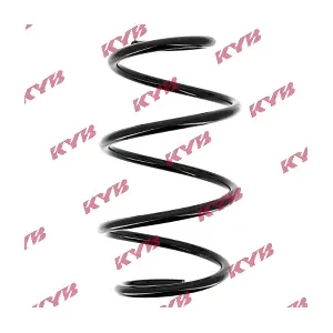 RG1010 KYB