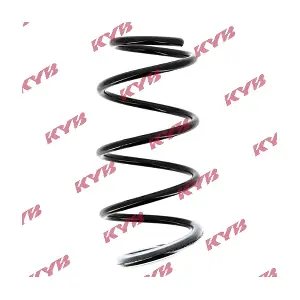 RG1001 KYB