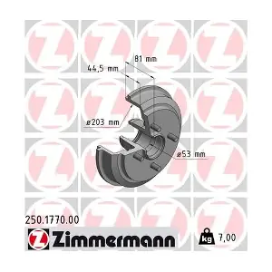 ZIMMERMANN 250177000