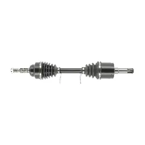 FDS1516 FRIESEN