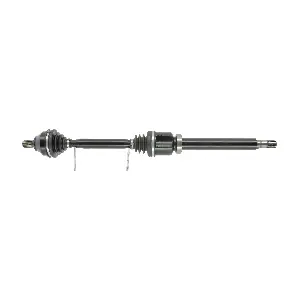FDS2557 FRIESEN
