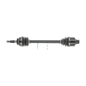 FDS1297 FRIESEN