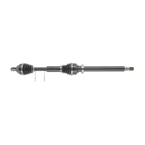 FDS3852 FRIESEN