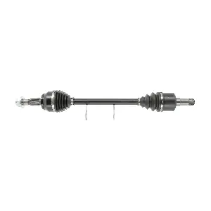 FDS1567 FRIESEN