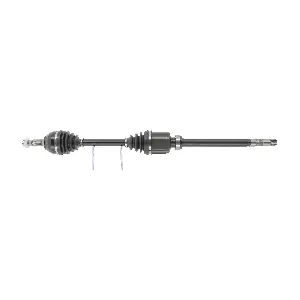 FDS2509 FRIESEN