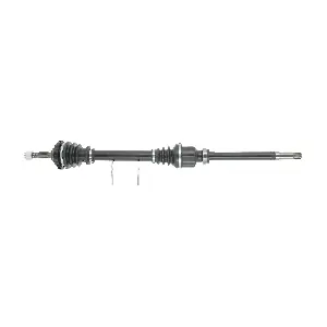 FDS1010 FRIESEN