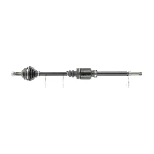 FDS2106 FRIESEN