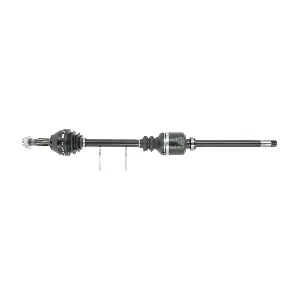 FDS1163 FRIESEN