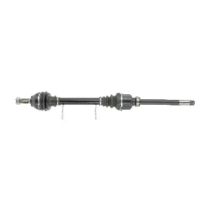 FDS2883 FRIESEN