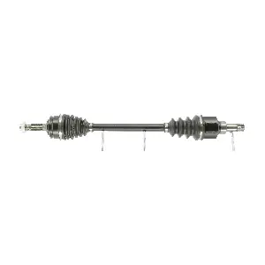 FDS2419 FRIESEN