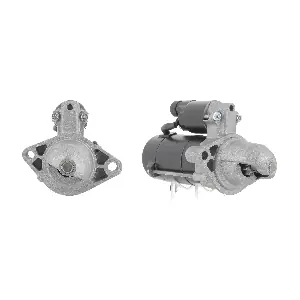 D1182 FRIESEN
