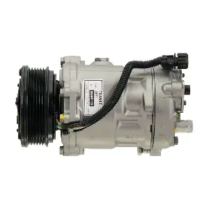 FRC00119 FRIESEN