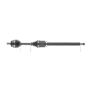 FDS3386 FRIESEN