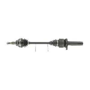 FDS1012 FRIESEN
