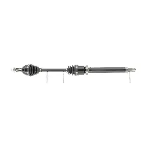 FDS4269 FRIESEN
