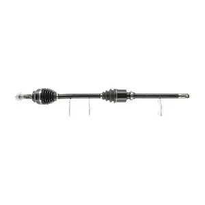 FDS1557 FRIESEN