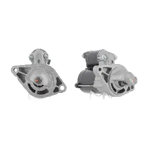 D1251 FRIESEN