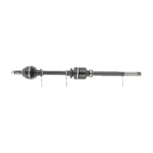 FDS1204 FRIESEN