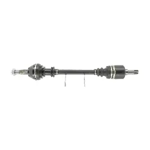 FDS1359 FRIESEN