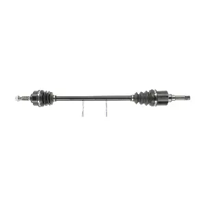 FDS1587 FRIESEN