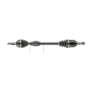FDS2784 FRIESEN