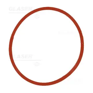 W57673-01 GLASER