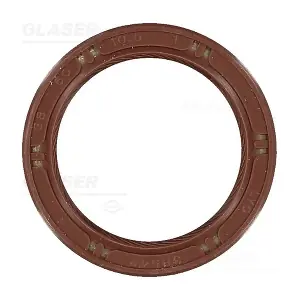P77619-01 GLASER