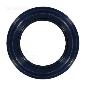 P77500-01 GLASER
