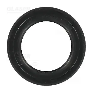 P77438-01 GLASER