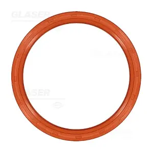 P77531-01 GLASER