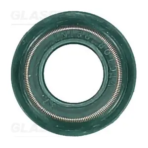 P76690-00 GLASER