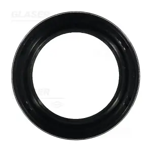 P77606-01 GLASER