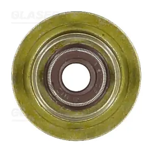P76841-00 GLASER